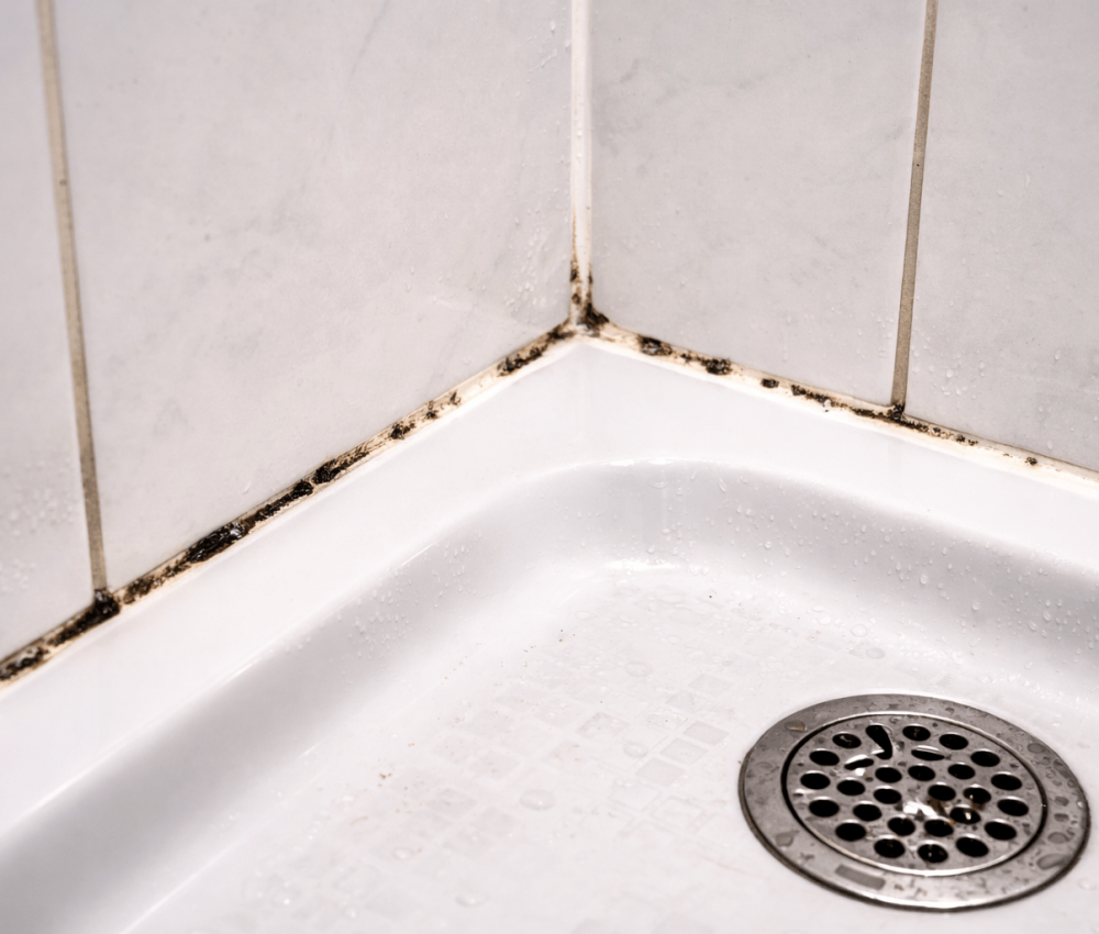 ChatGPT Image 2. März 2026, 12_48_50